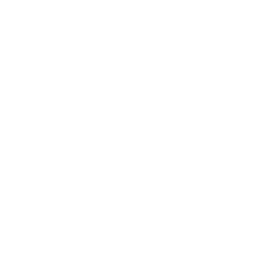 ce logo Fortaleza